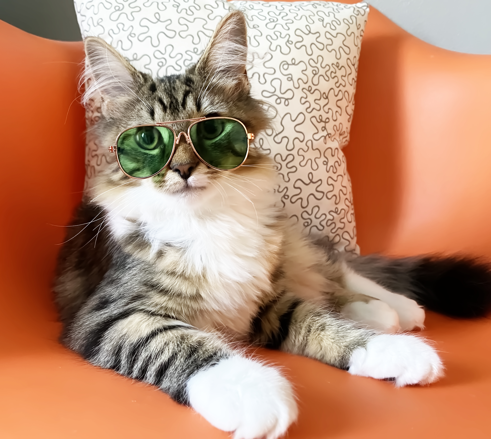 Retro Aviator Cat Sunglasses - Image 8